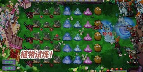 植物大战僵尸共生版内置菜单