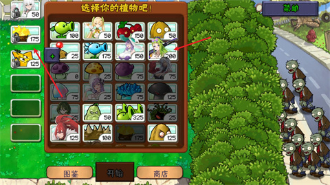 植物大战僵尸娘化版安卓版