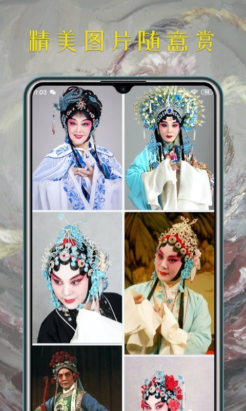 
豫剧迷