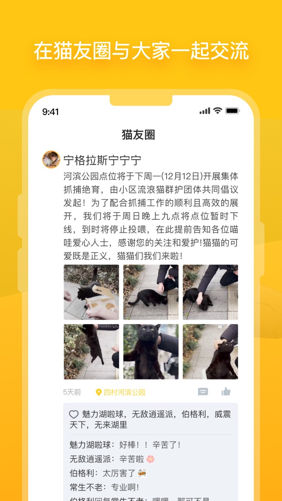 
街猫app