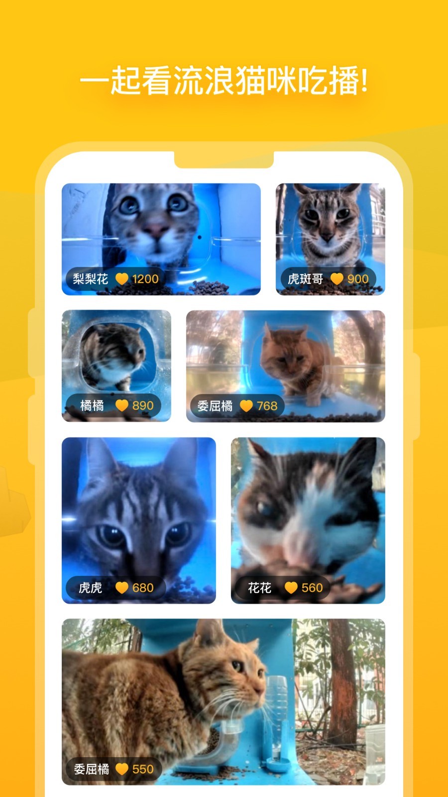 
街猫app