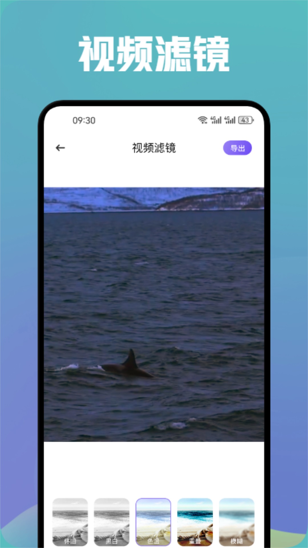 
白云视频播放