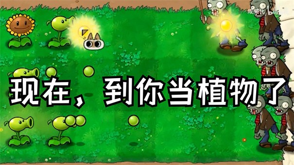 
植物大战僵尸繁琐版