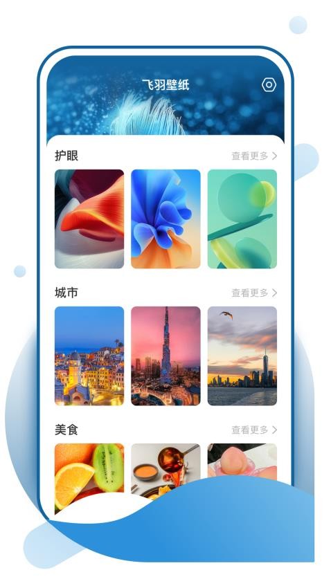 
飞羽壁纸