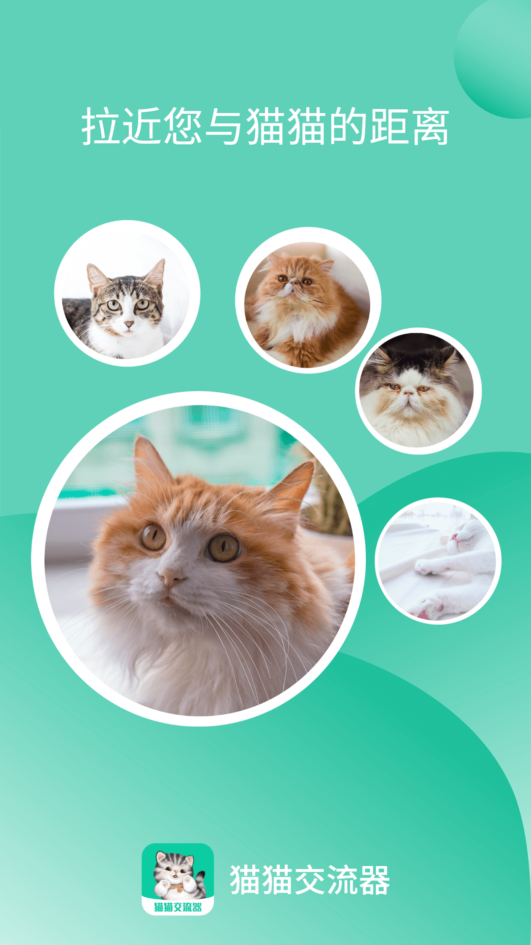 
猫猫交流器