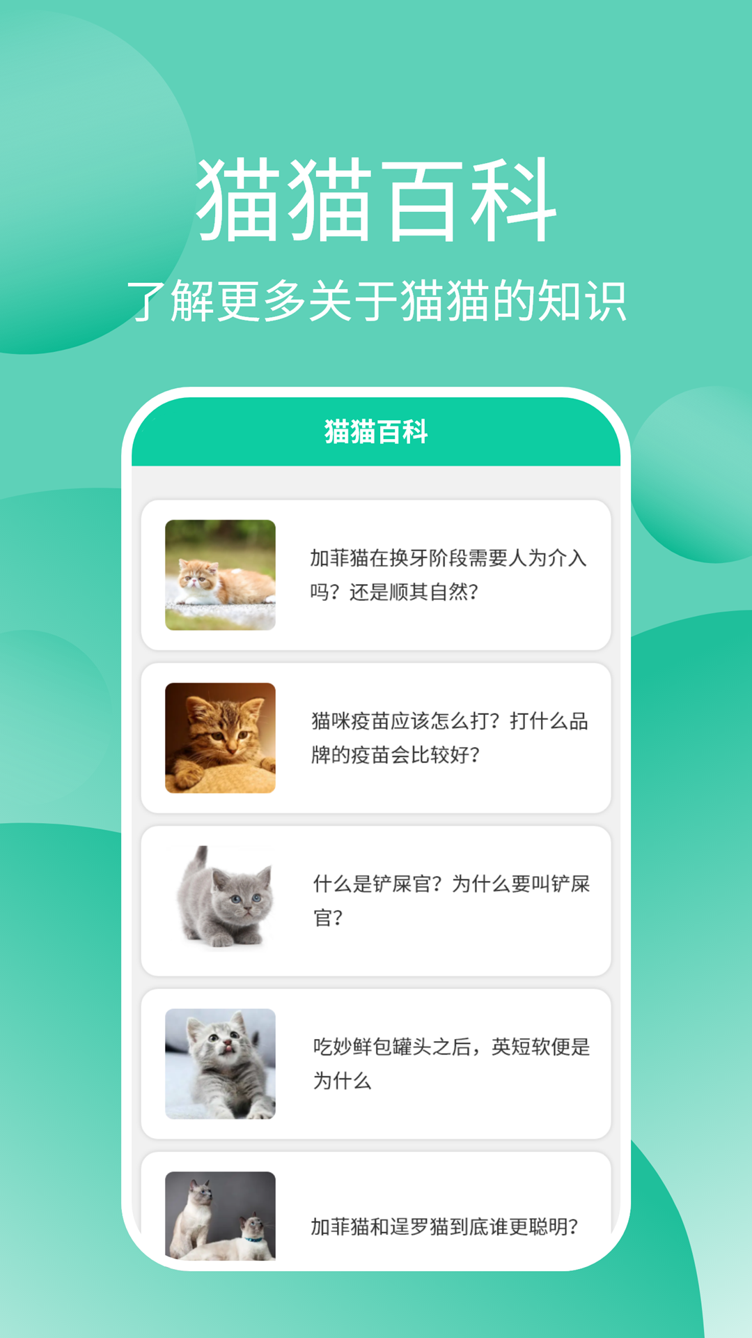
猫猫交流器