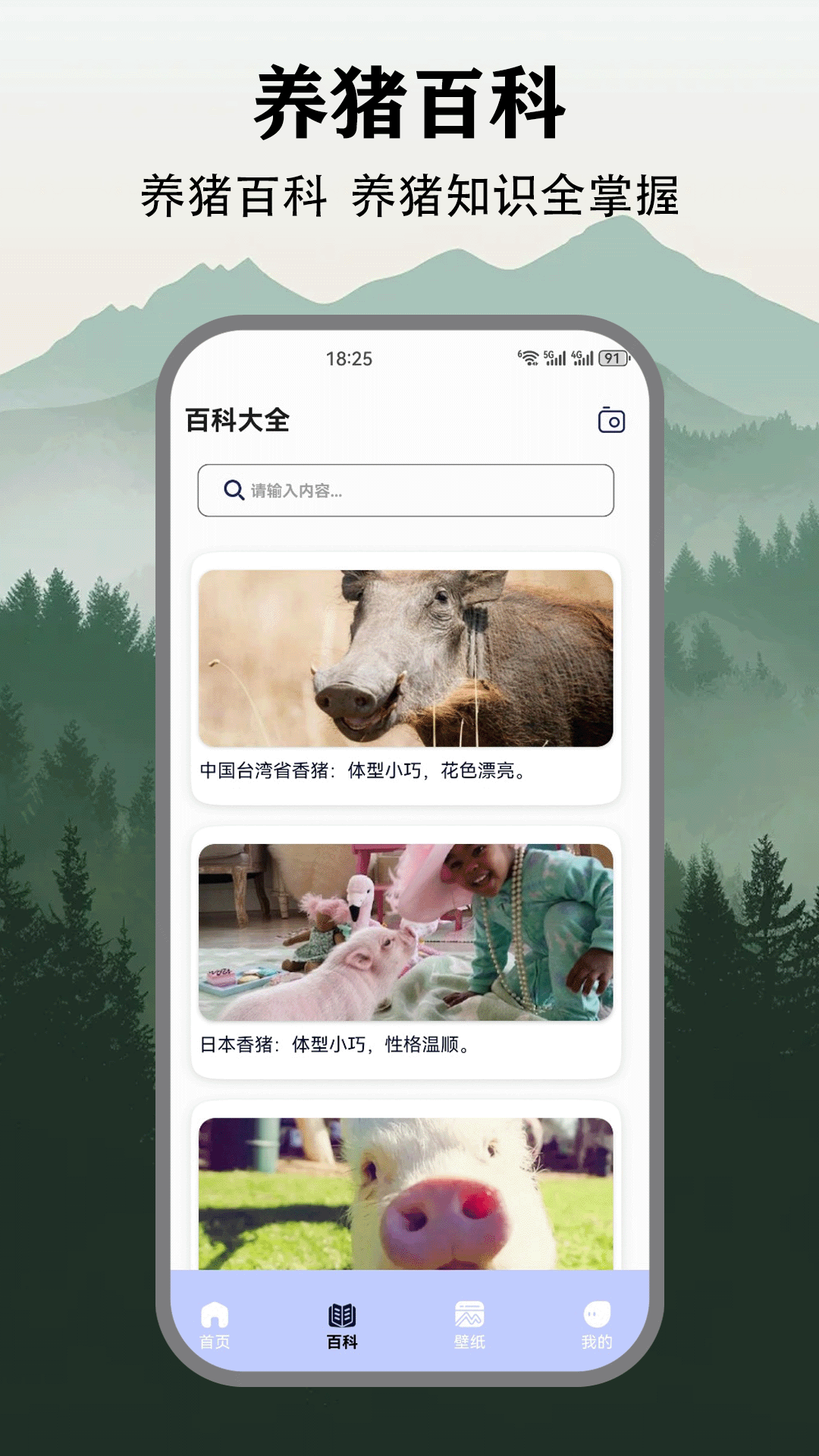 
猪猪多福：吃大席