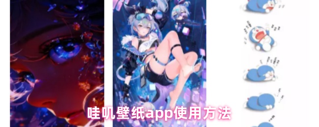 哇叽壁纸app使用方法