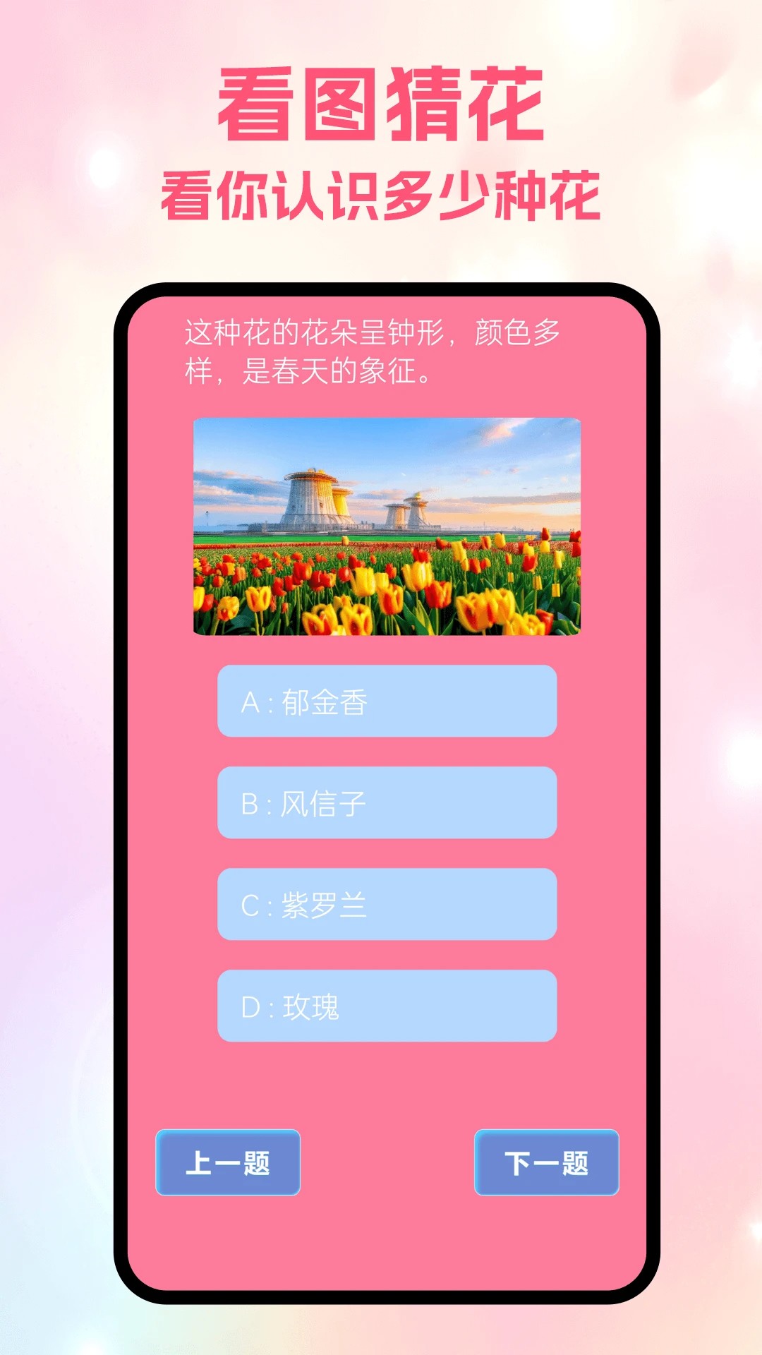 
风信