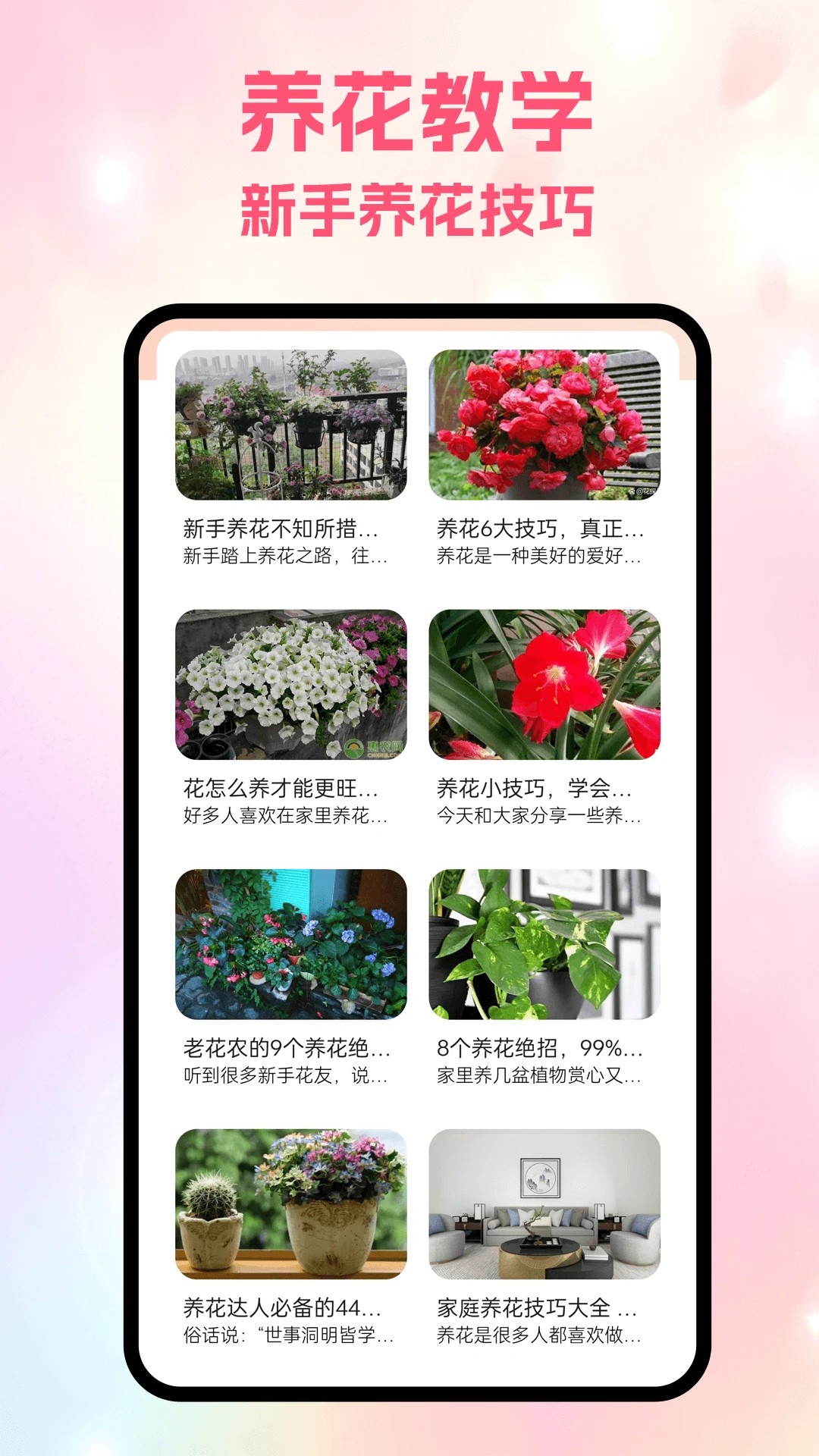 
风信