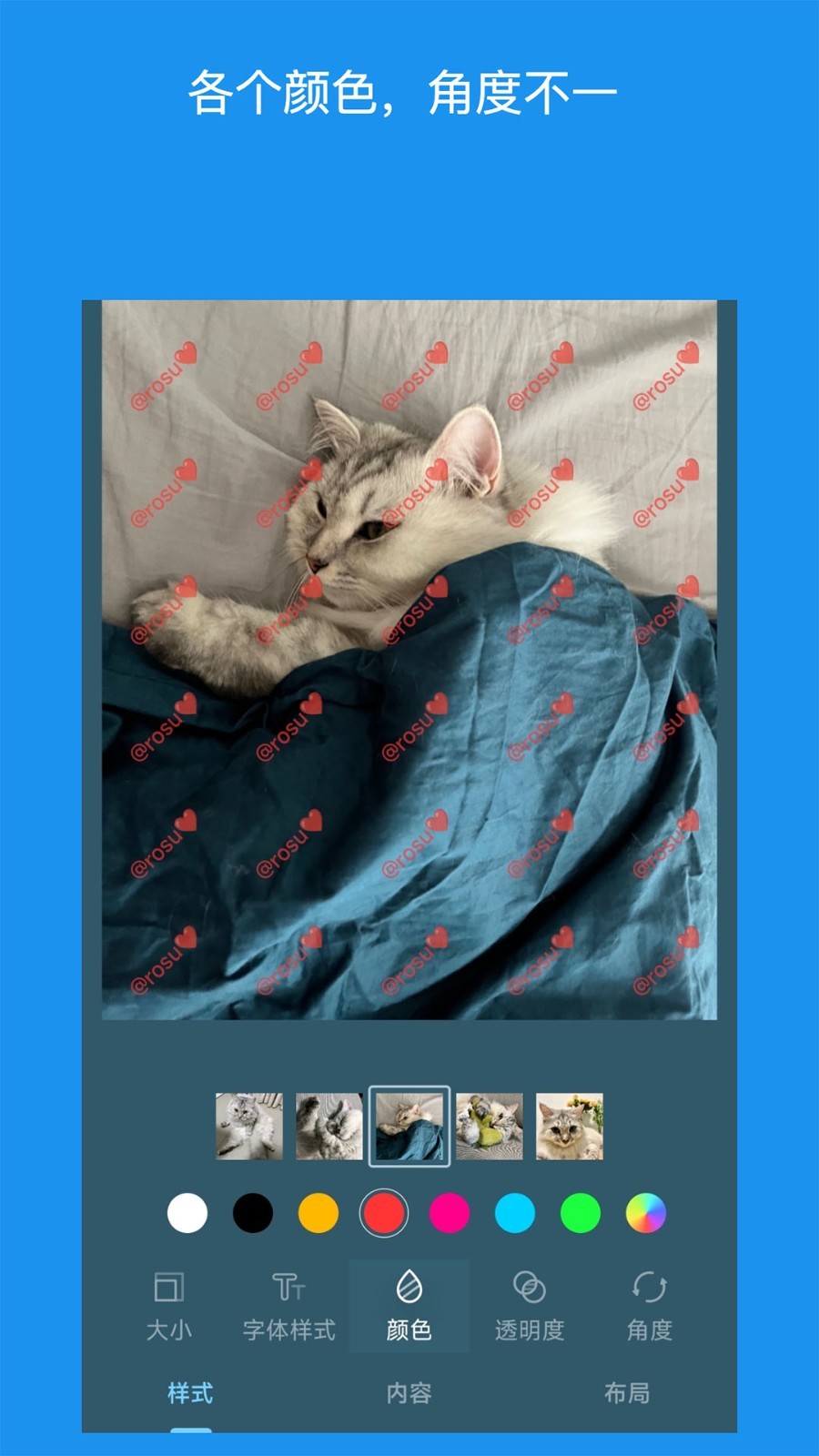 
水印照片app