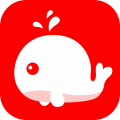 北极海新闻app