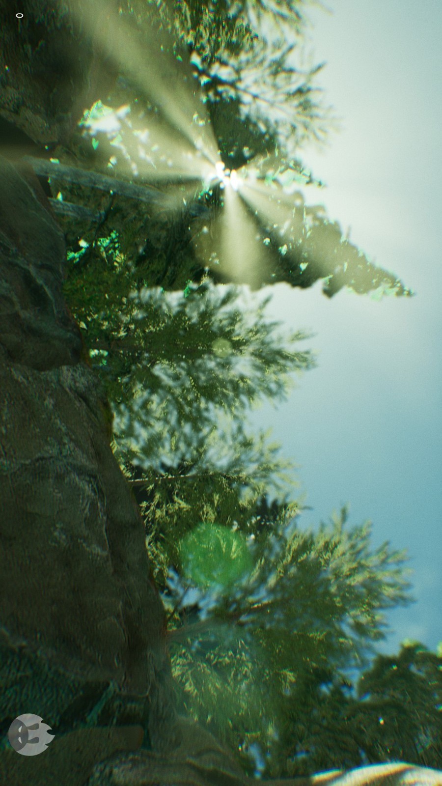 
安兔兔评测3D