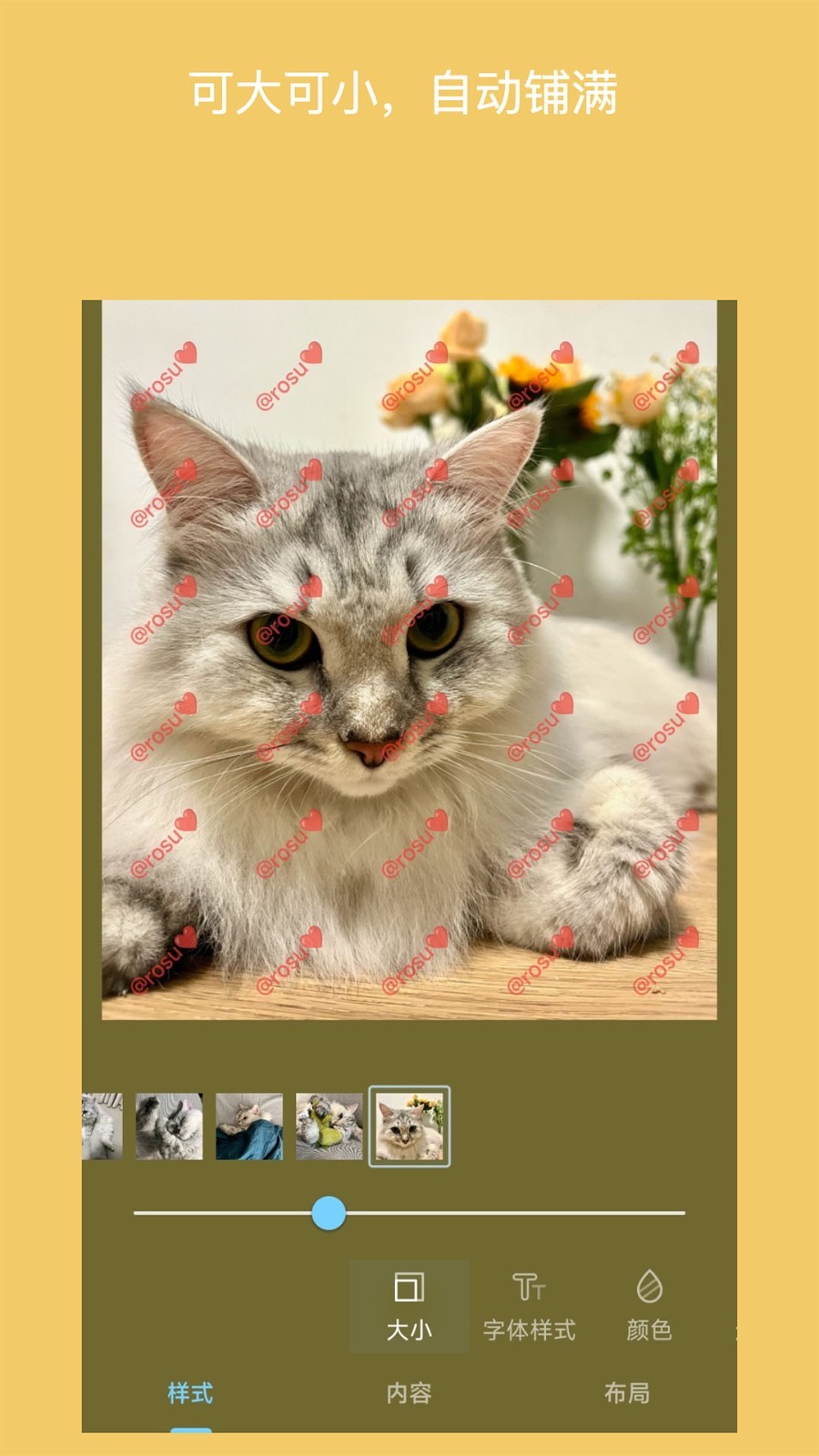 
水印照片app