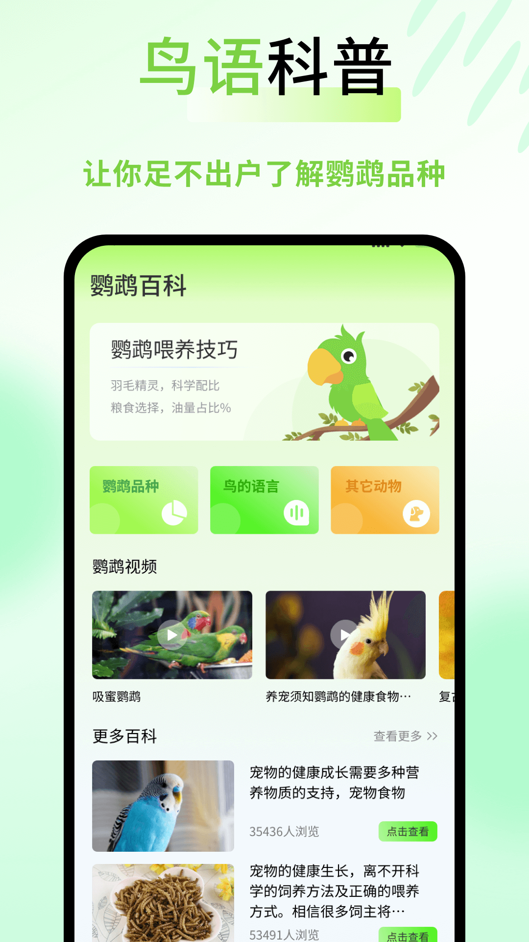 
鹦鹉语言翻译器