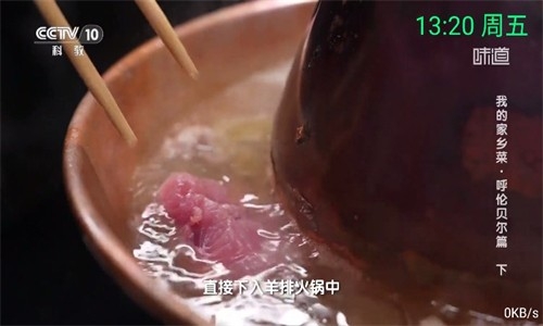 念想TV版