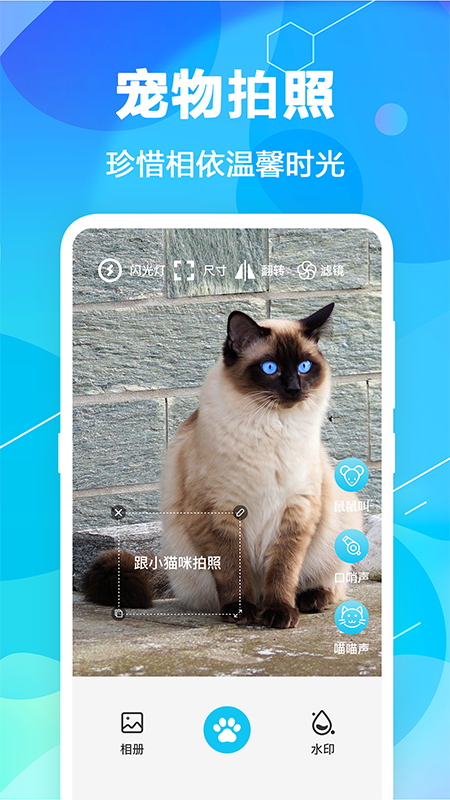 
世纪海外猫语翻译器