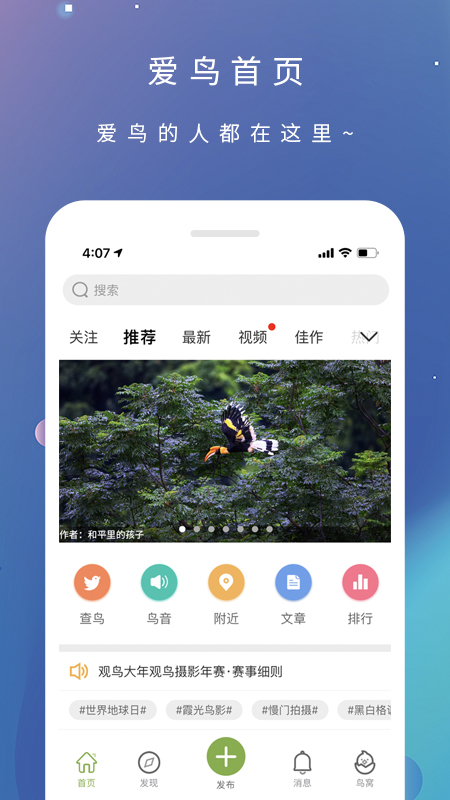 
爱鸟