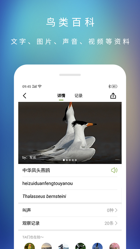 
爱鸟
