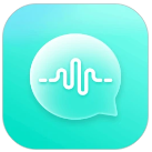 Voicelink