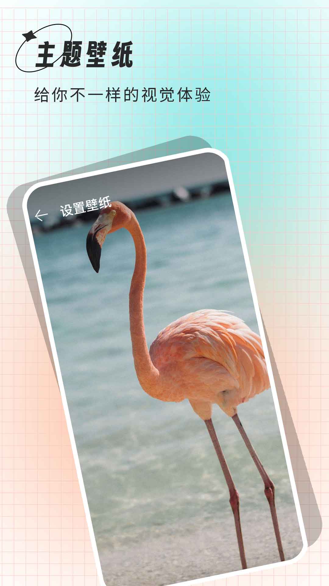 
克拉壁纸