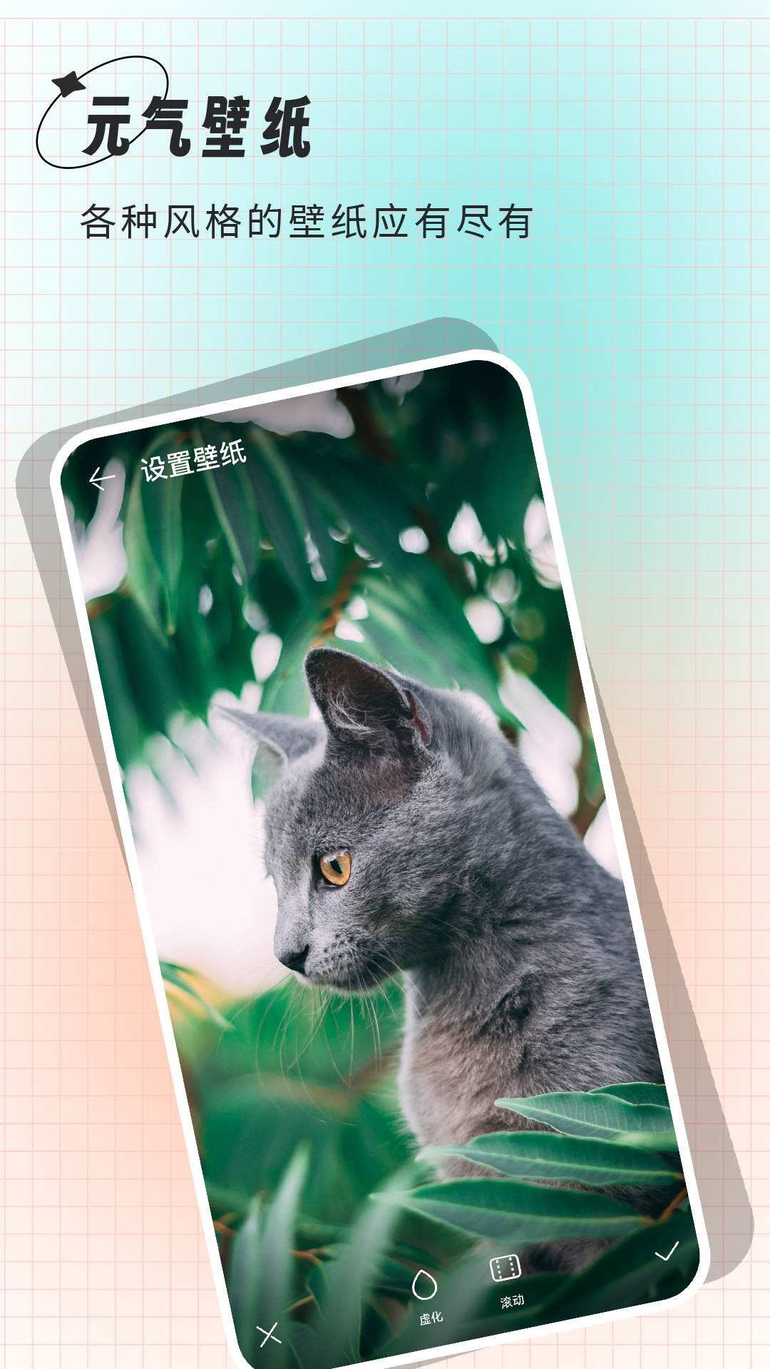
克拉壁纸