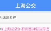 《上海公交》实时查询使用方法