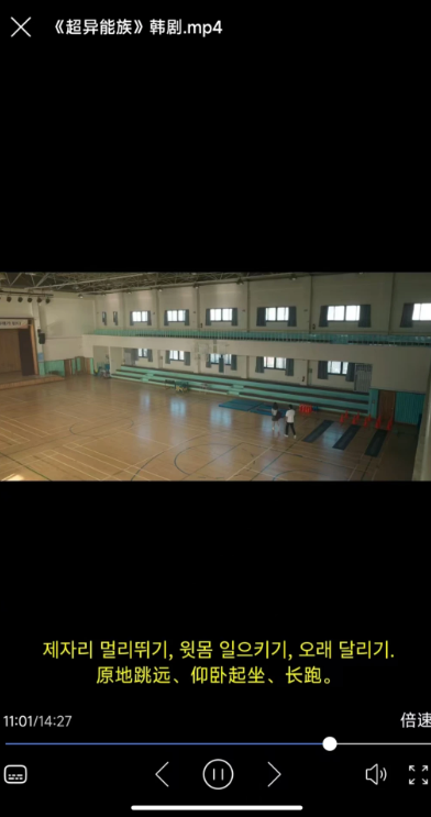 
X字幕