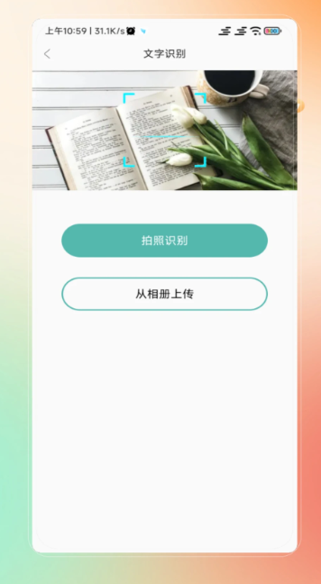 放大(图3)