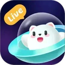 Live时光