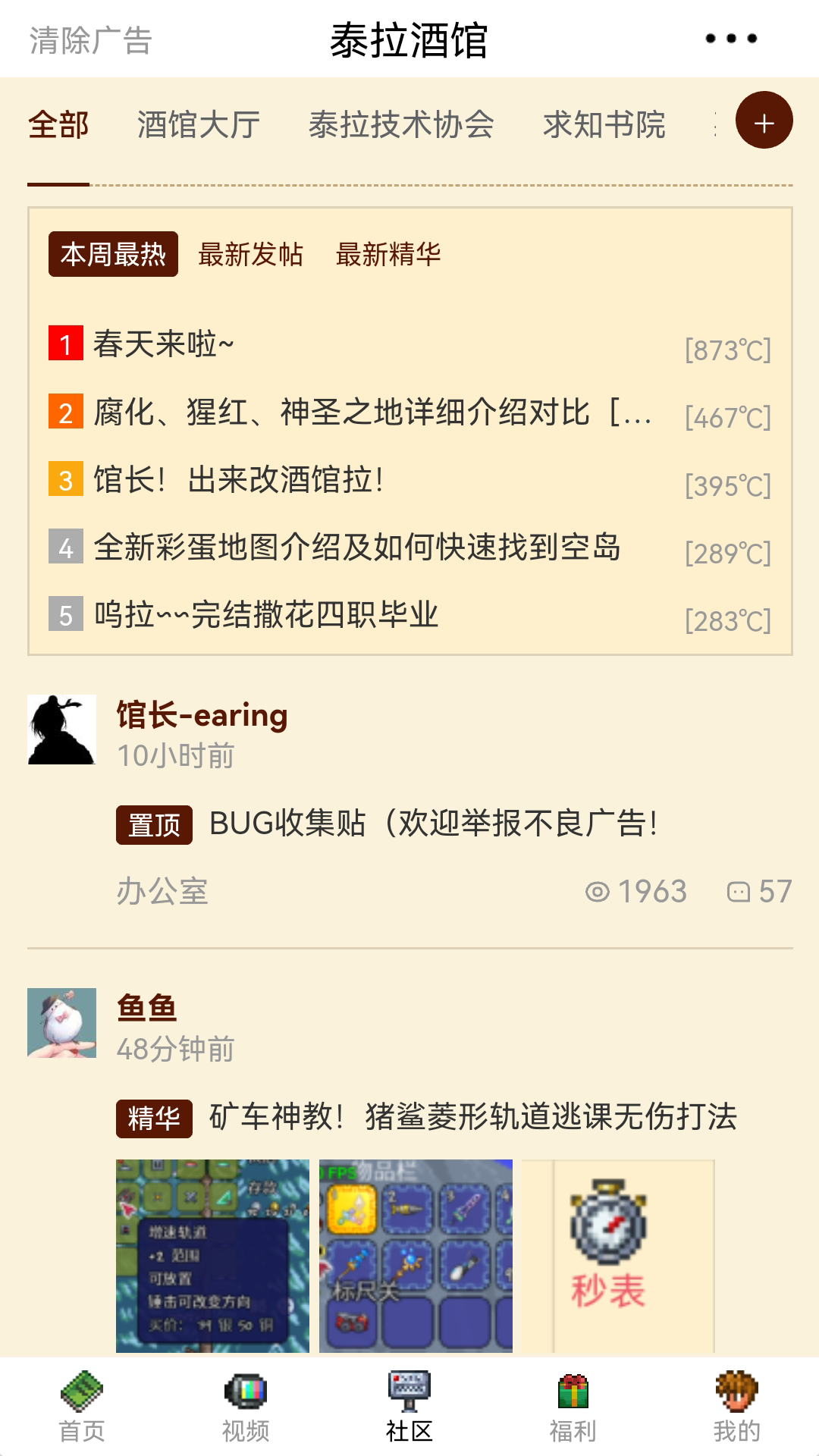 
泰拉酒馆