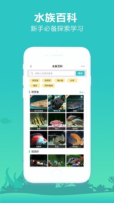 
泡泡水族