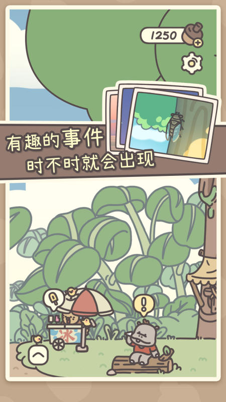 
橡子屋