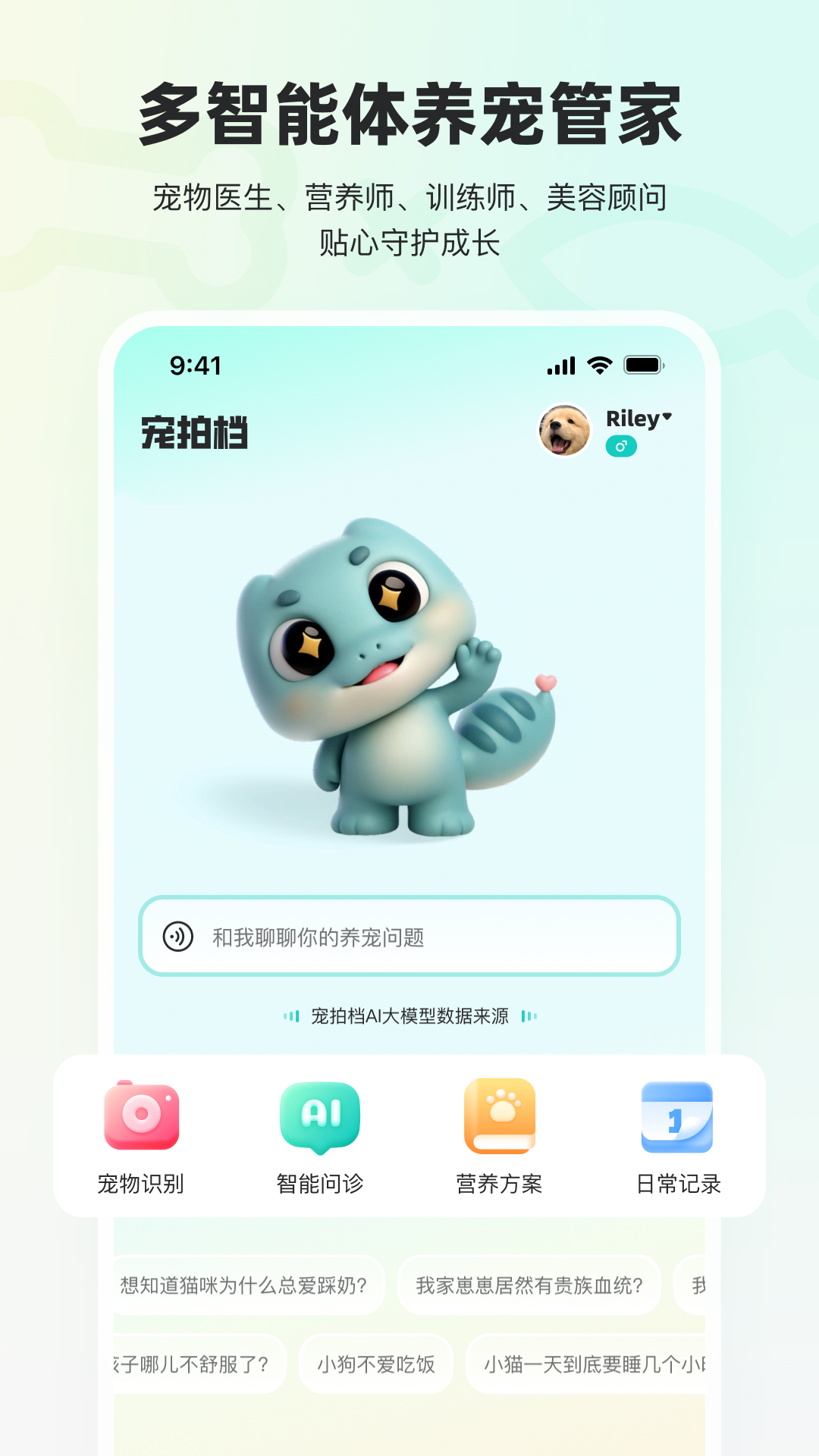 
宠拍档