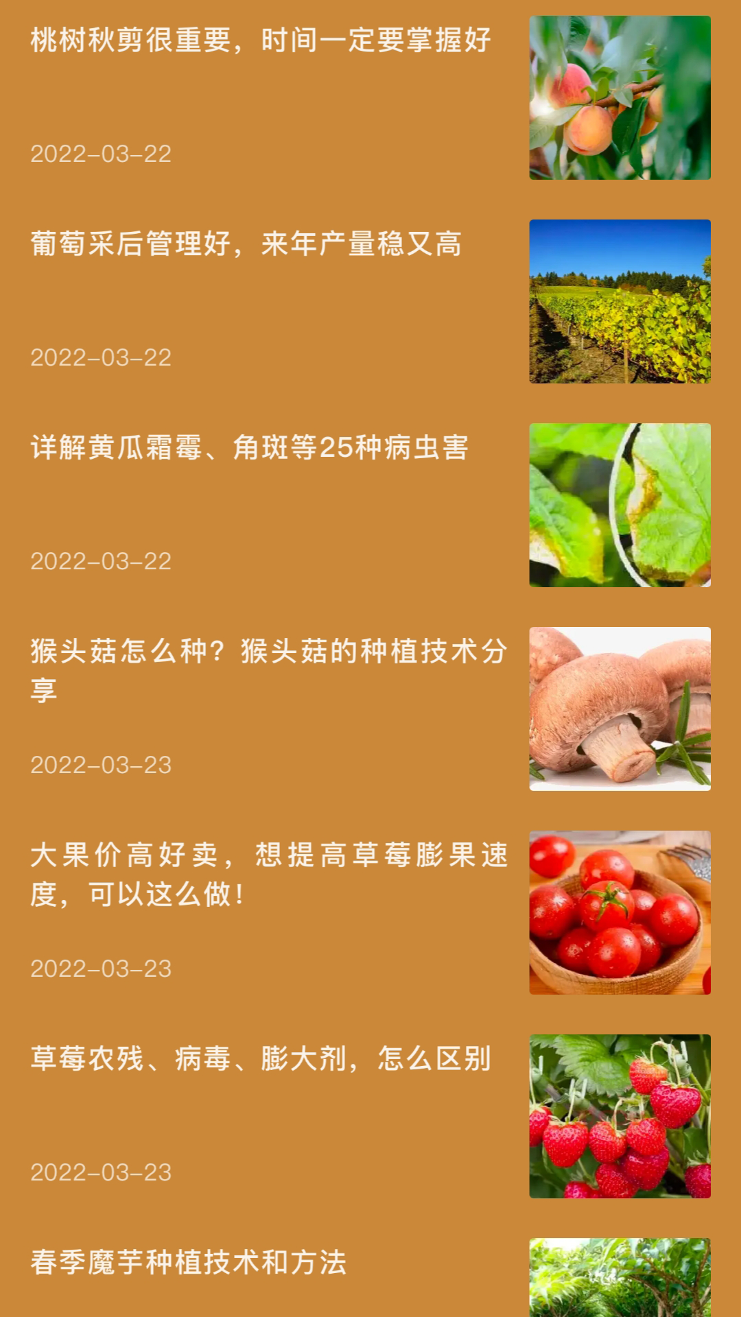 
田园小院子app