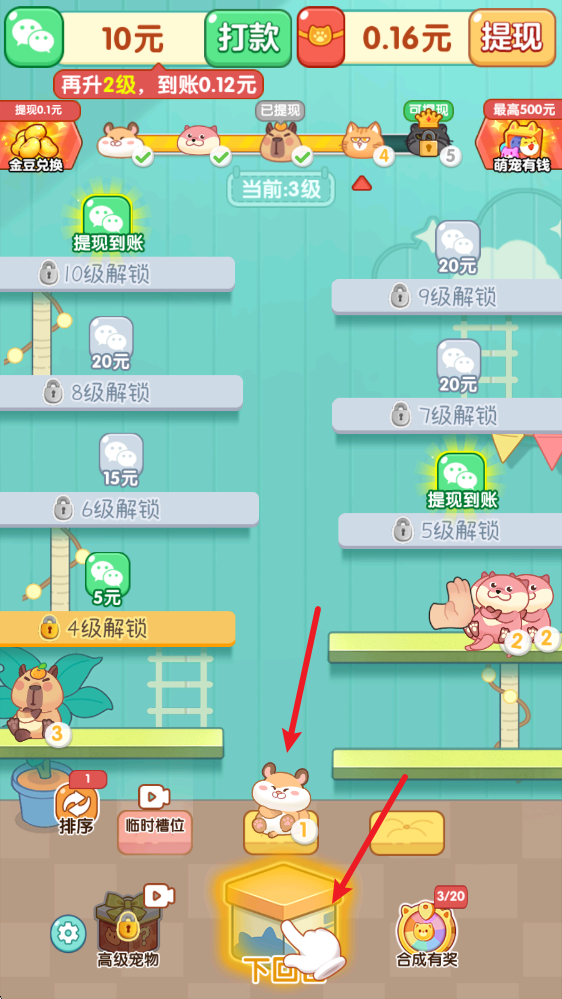 萌宠有福(图5)