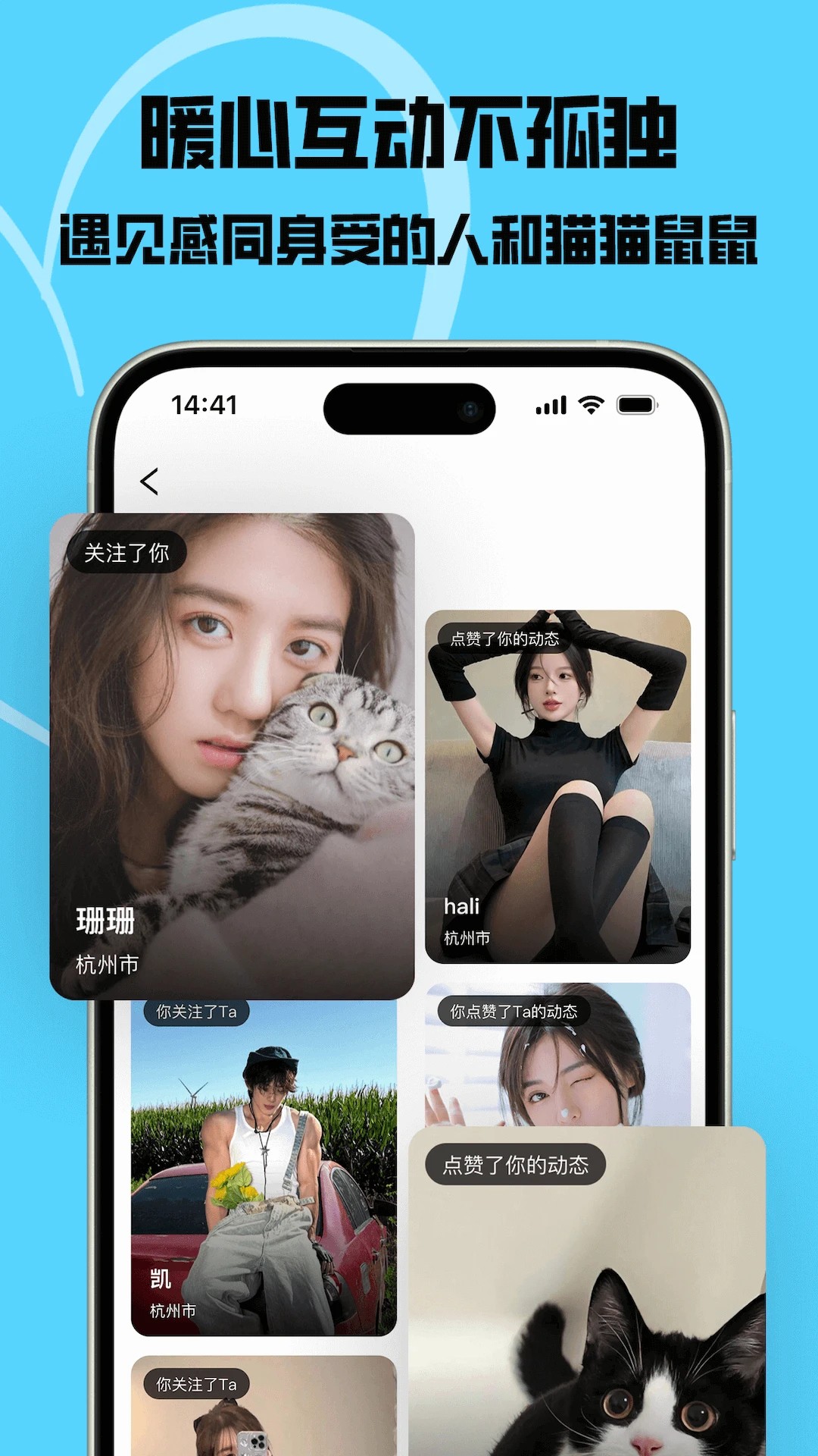 猫匿(图1)