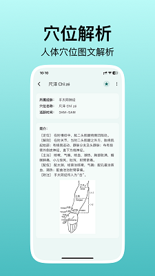 人体穴位图解(图1)