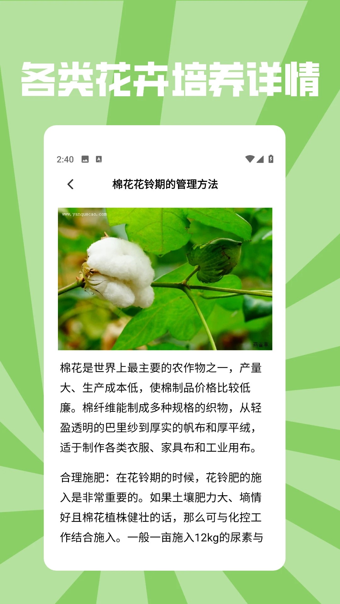 花朵物语pro(图1)