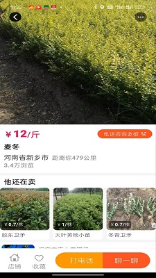 
春种