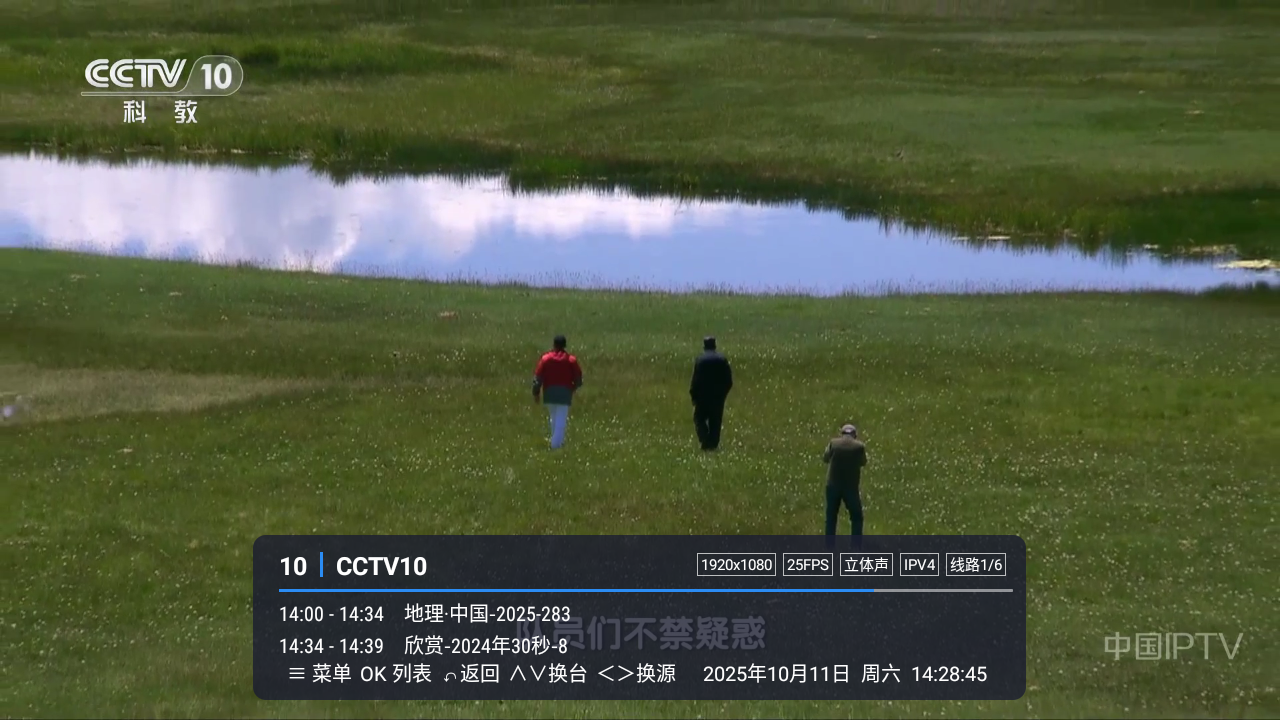 涛涛TV