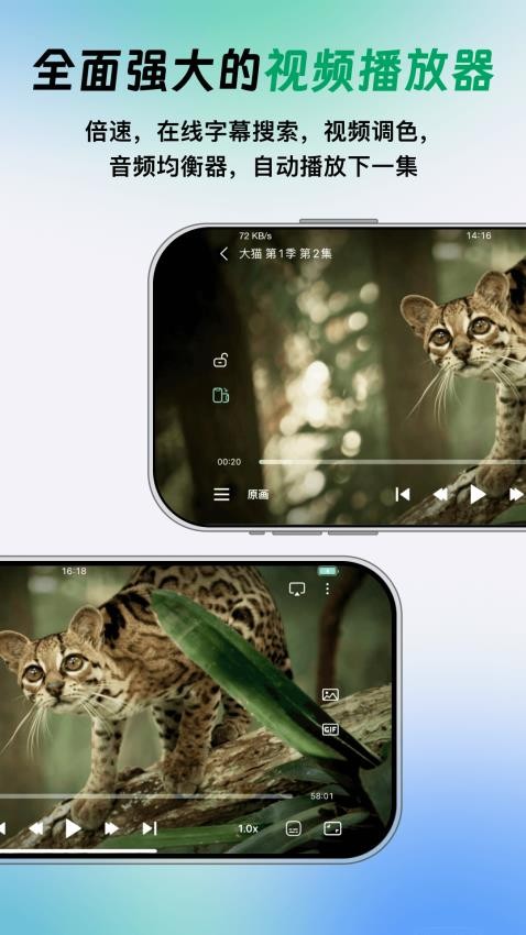 
vidhub tv版
