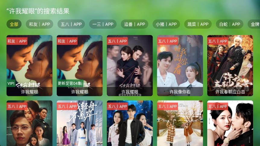 宫殿TV