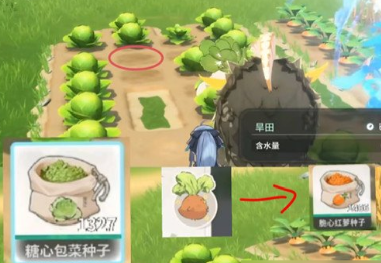 《蓝色星原：旅谣》种菜玩法介绍(图5)