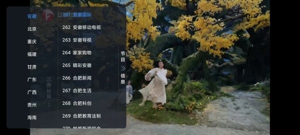 昭昭TV版