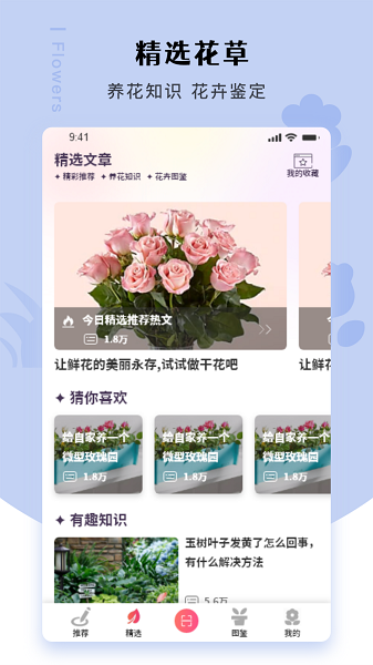幸福养花场(图4)