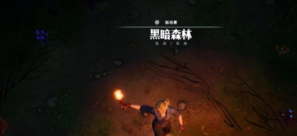 荒原曙光木质火把怎么制作-荒原曙光木质火把制作方法